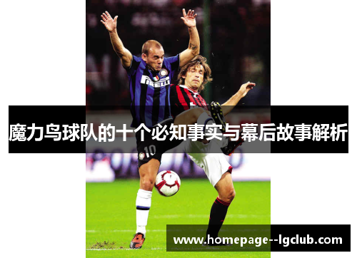 魔力鸟球队的十个必知事实与幕后故事解析